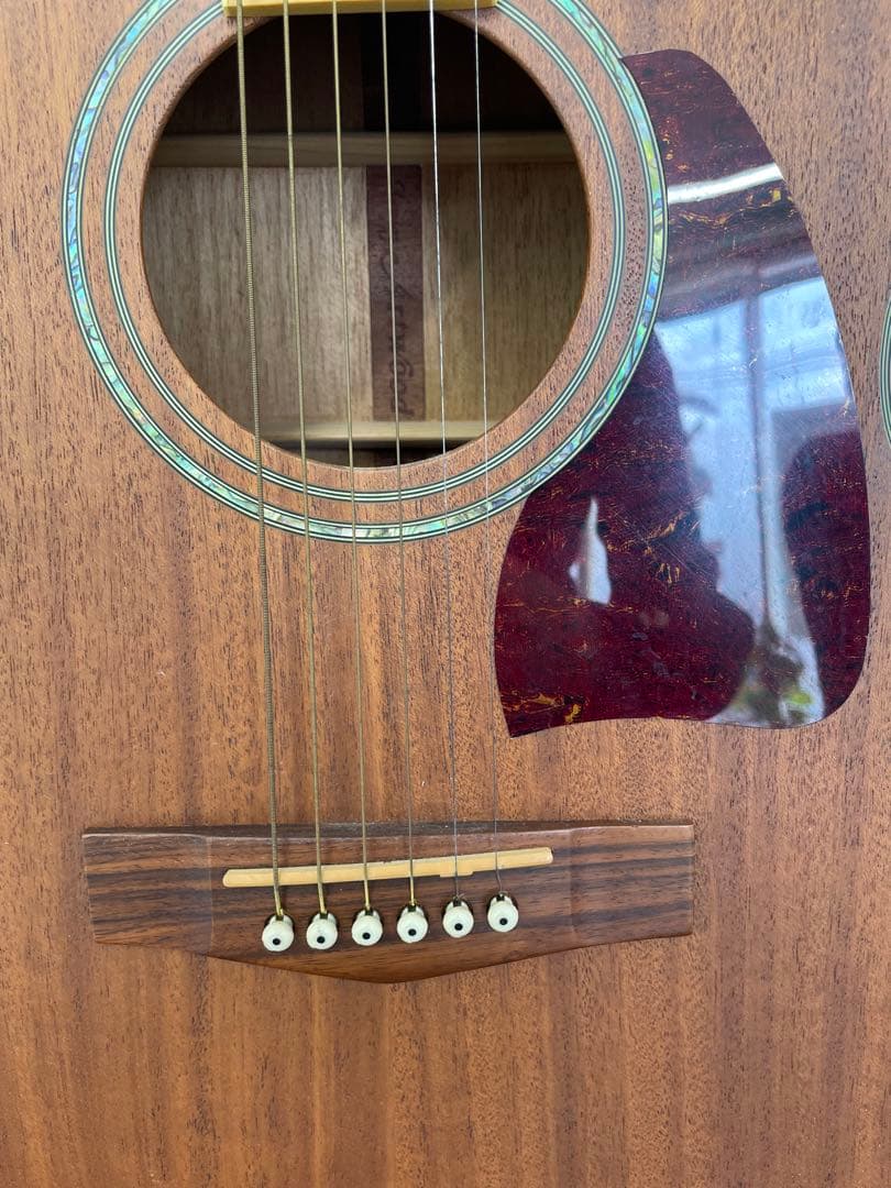 【E】Ibanez Art Wood RLGツリーオブライフインレイ ケース付き