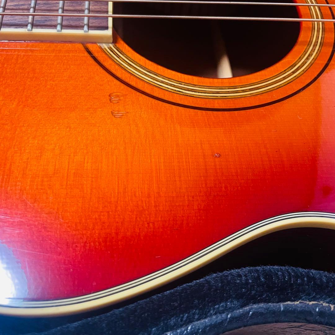 Ibanez アコースティックギター AC38-HS ツリーオブライフ