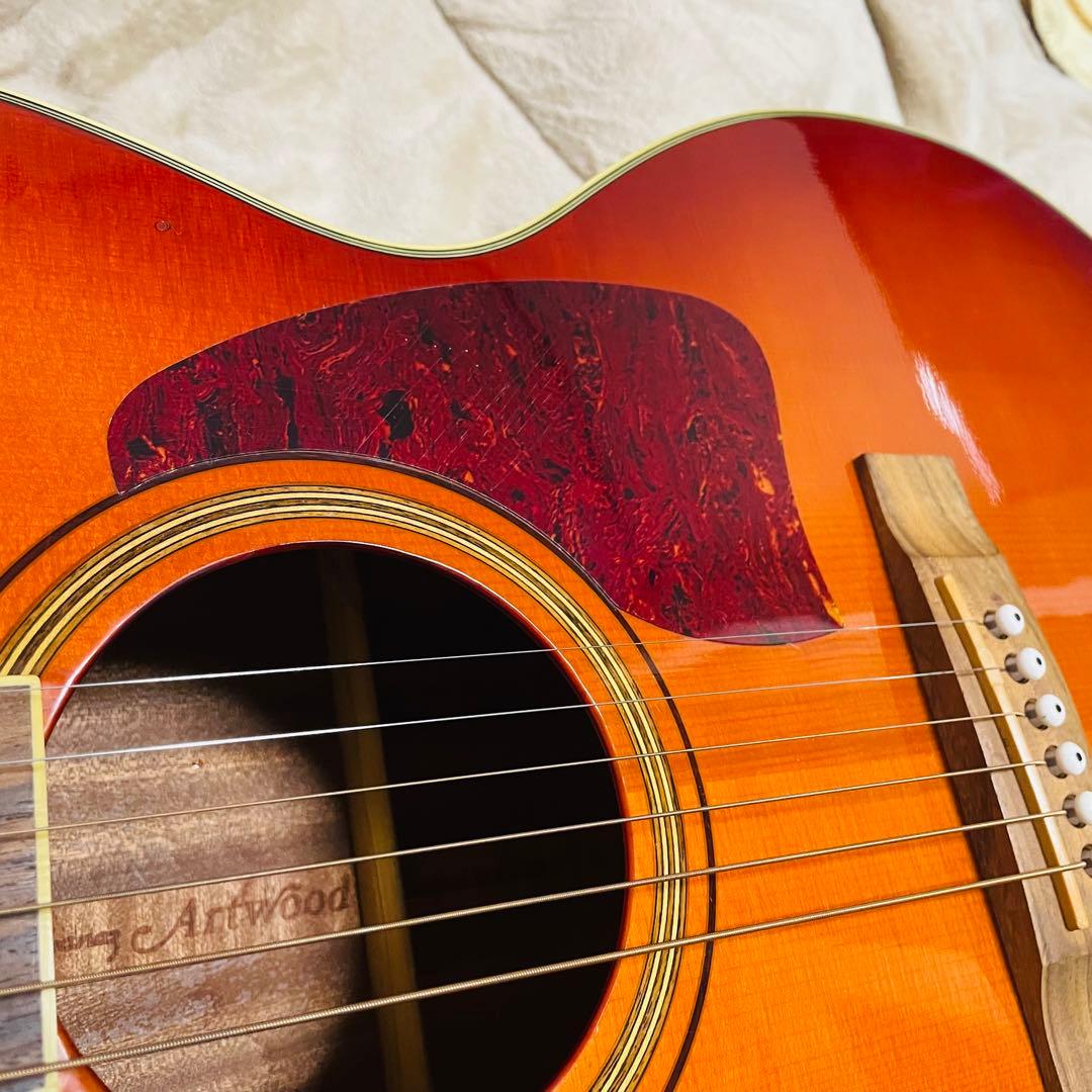 Ibanez アコースティックギター AC38-HS ツリーオブライフ