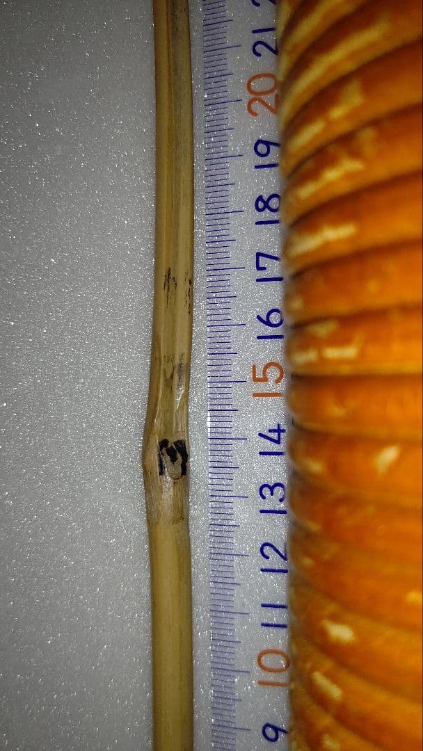 MEINL 大型 ギロ と ( 楽器職人のギロ ) ヘコヘコ レコレコ