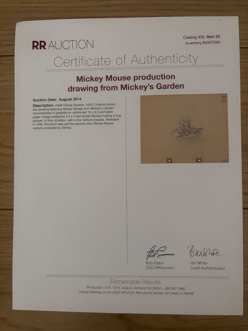 ミッキーマウス 鉛筆画 Mickey's Garden