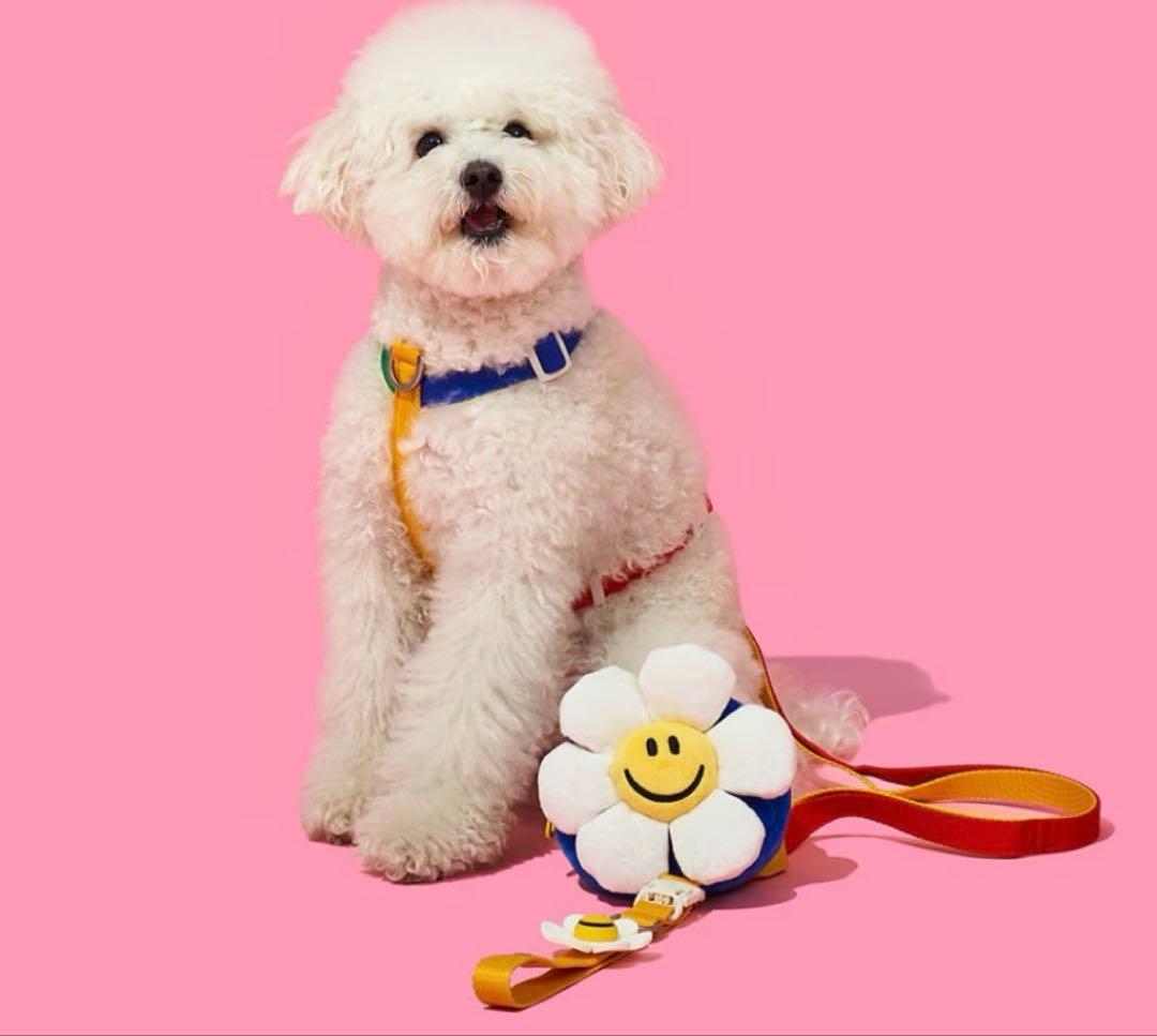韓国ペスルームXウィグウィグ ハーネス　スマイル　S wigglewiggle