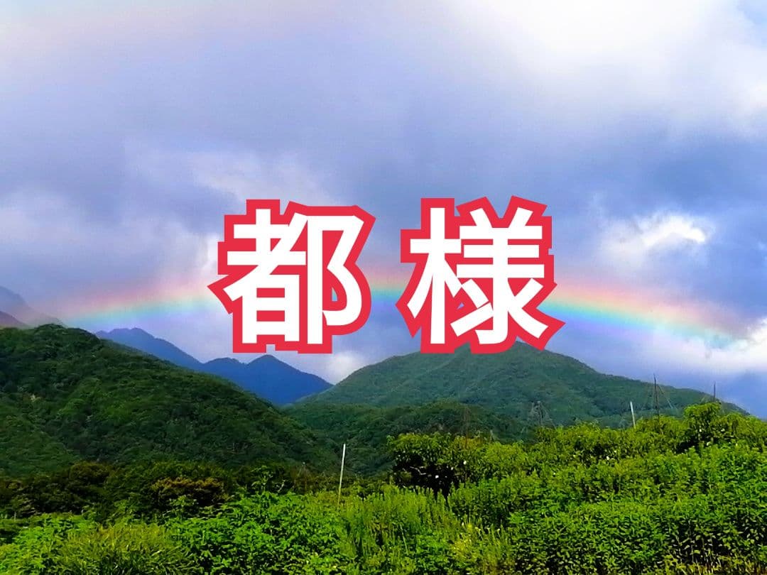 山梨県産　枯露柿・干し柿用　渋柿　甲州百目柿　20kg