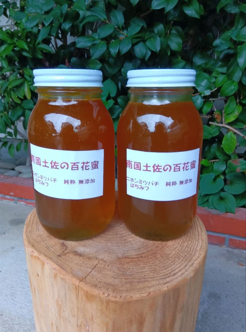 南国土佐の百花蜜　ニホンミツバチ蜂蜜　無添加　無加工　たれ蜜 2400g