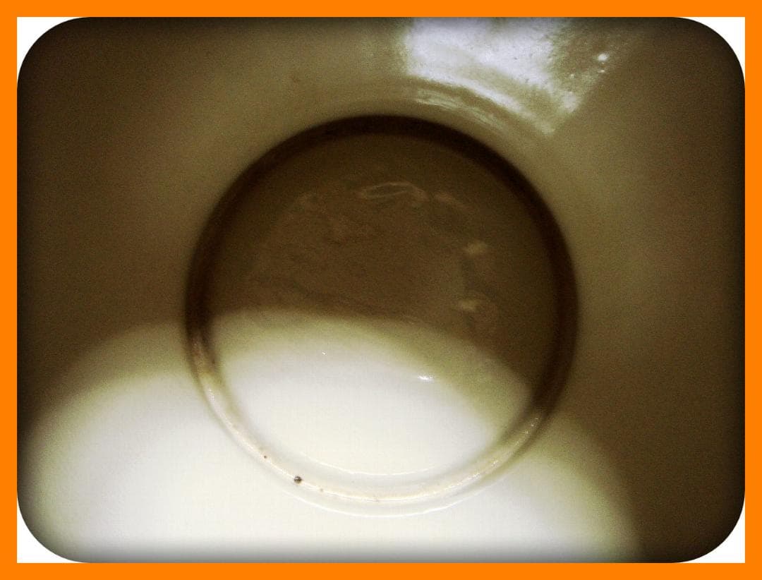 793『九谷 花蝶文 花瓶』　/骨董品 古美術 古道具 アンティーク