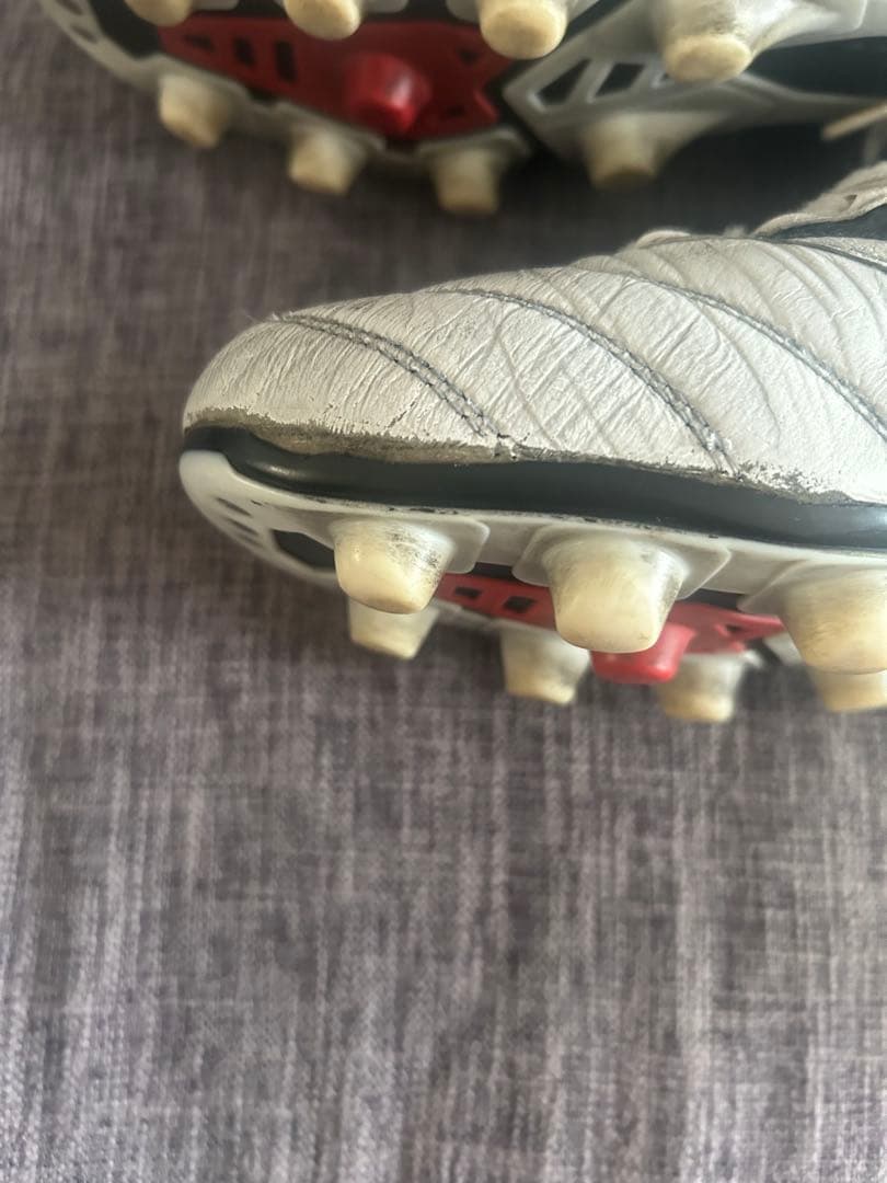 28.5cm モレリア2