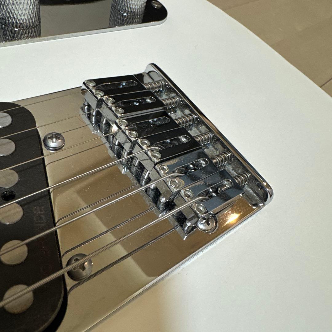 Bacchus テレキャスター 改造 Rio Grande搭載 時雨TK系