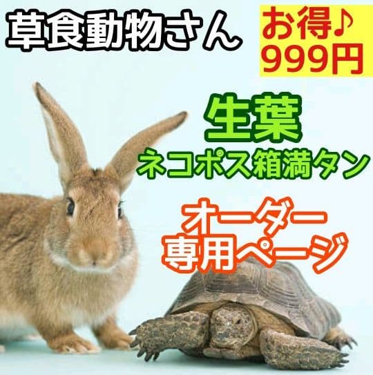 生葉/野草 ●セミオーダーページ● ウサギ ハムスター リクガメ モルモット 他