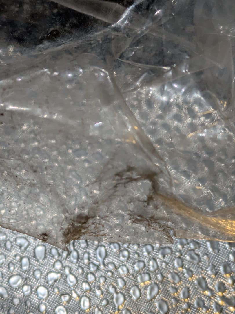 ブルマァク 復刻版怪獣シリーズ キャプテンウルトラ ハック ソフビ フィギュア