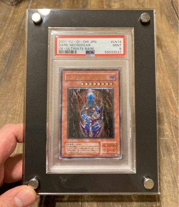 遊戯王　ダークネクロフィア　レリーフ