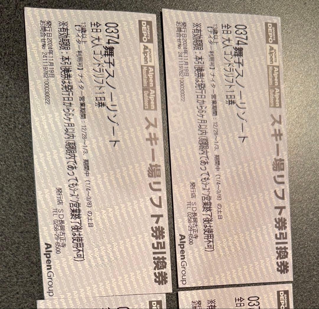 スキーリフト券 2枚セット AlpenGroup