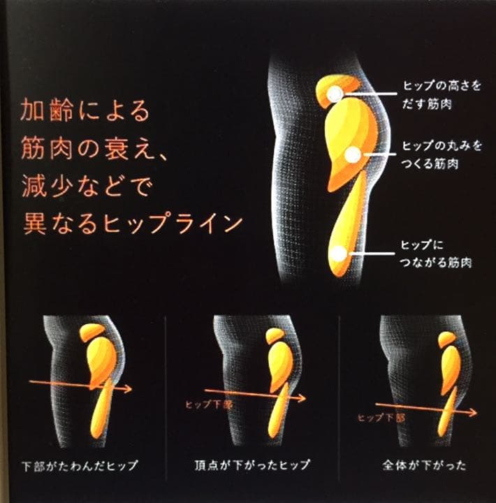 未使用 SIXPAD ボトムベルト M