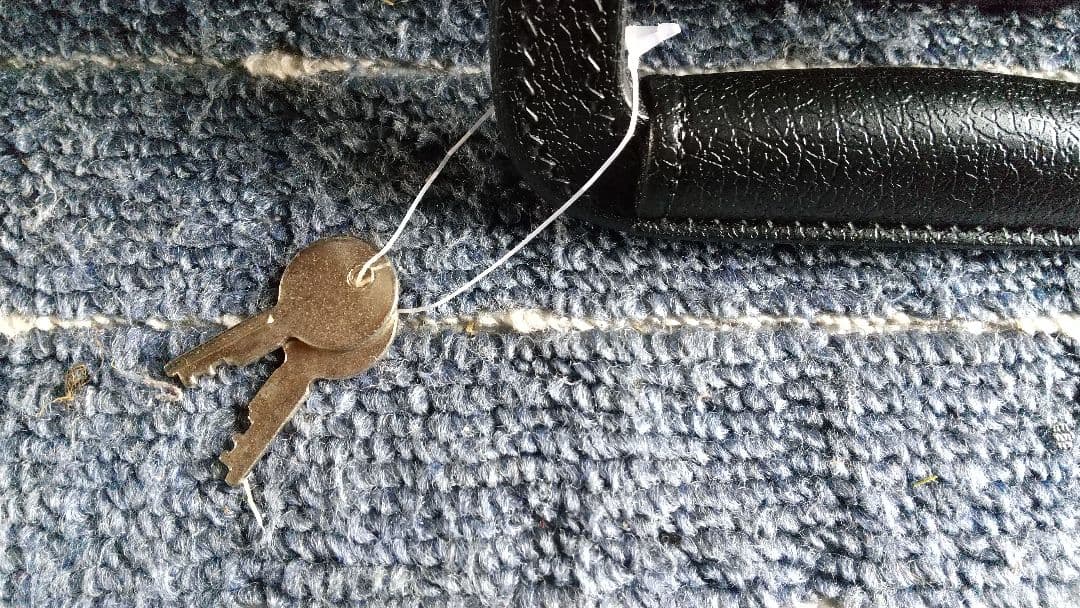 12/21値下げ 沖縄三線 ハードケース 人工皮？ 蛇柄 三味線