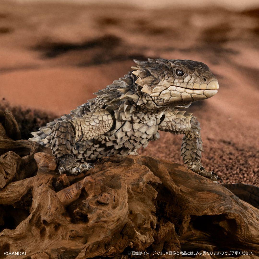 いきもの大図鑑アルティメットオオヨロイトカゲ