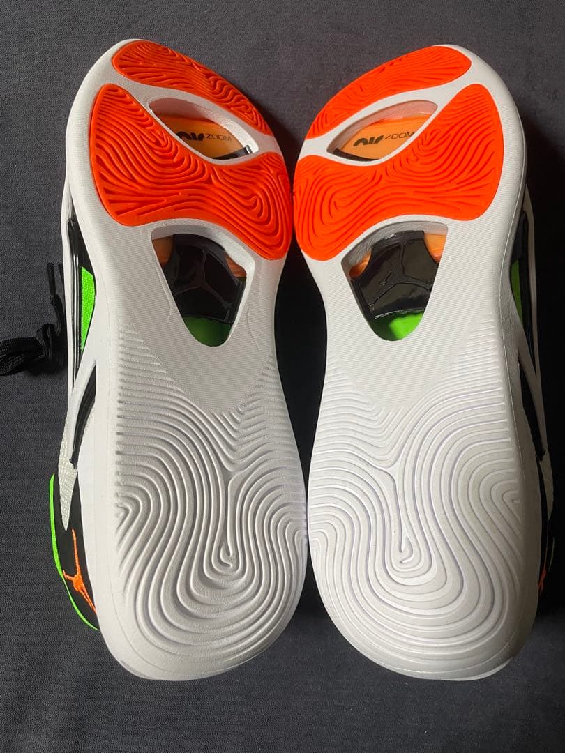 29cm ナイキ ジョーダン テイタム 1 ホーム チーム PF