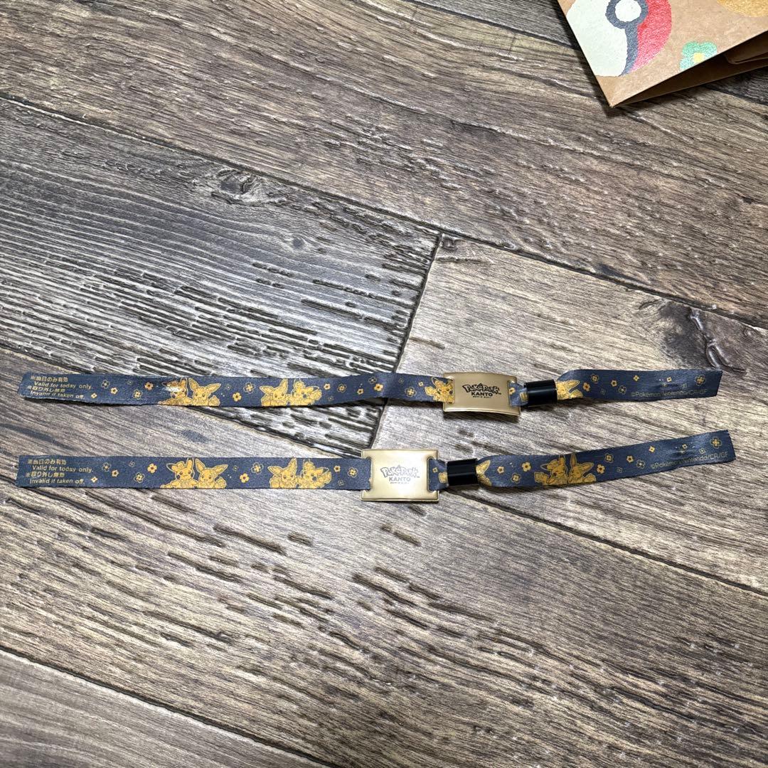 ポケパークカントー　エリートトレーナーズパス　特典セット　＋おまけ