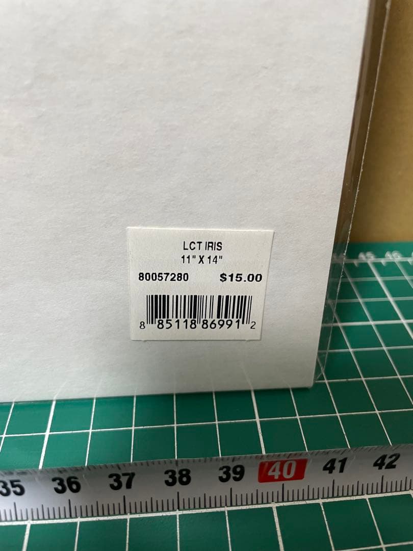 ❣新品❣　アートプリント　絵画　複製画　ポスター