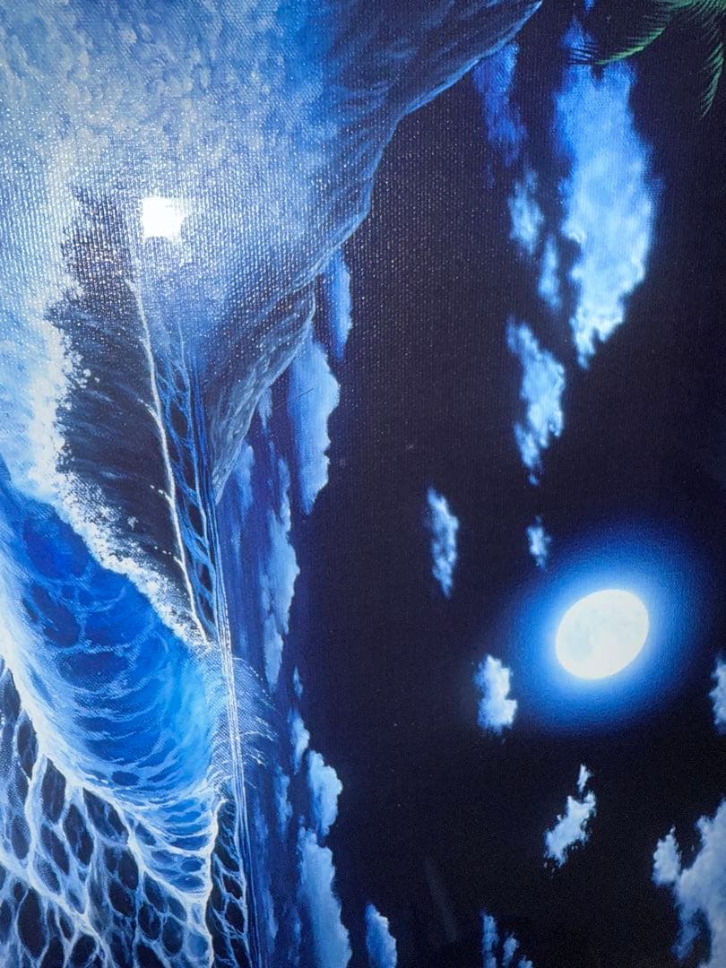 キモ パラダイスムーン NO.18