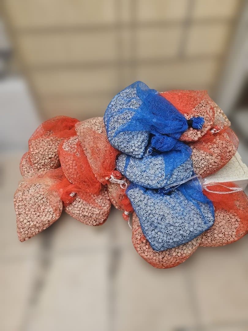 大型オーバーフロー水槽