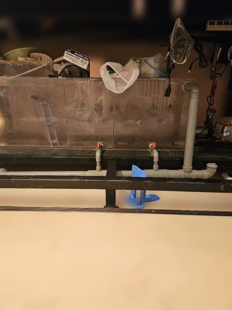 大型オーバーフロー水槽