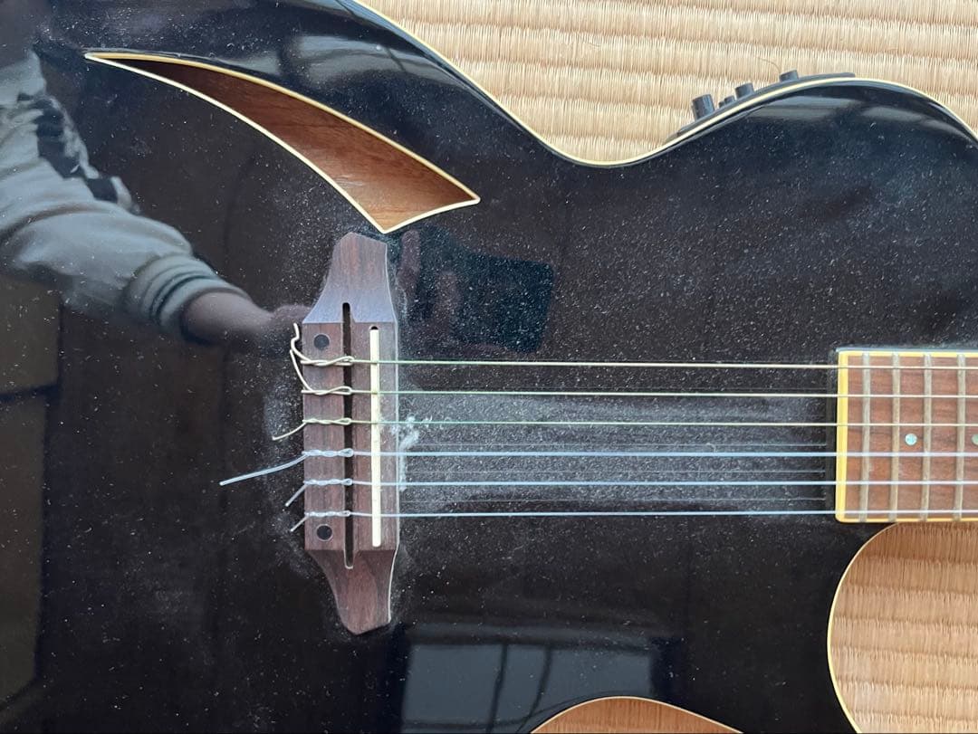 ESP Ltd TL-6N Black エレガット