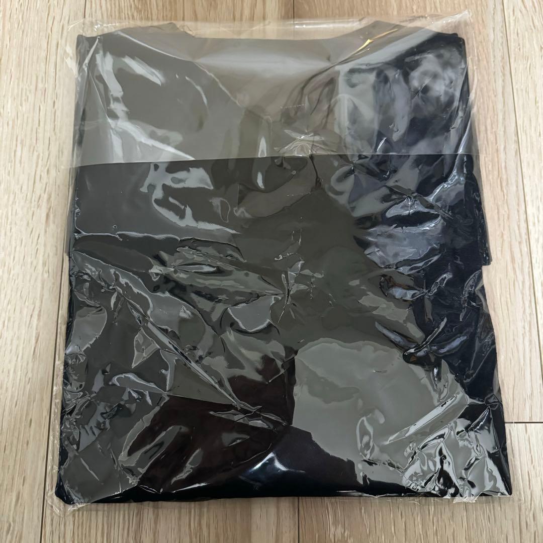 GREEN DAY x VERDYコラボT XL