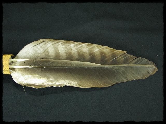 座掃 御羽箒 箒博 六ツ羽根 大掃込 茶道具 水屋道具 共箱 f321