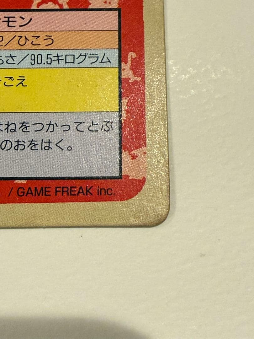 トップサン リザード＆リザードン 裏緑