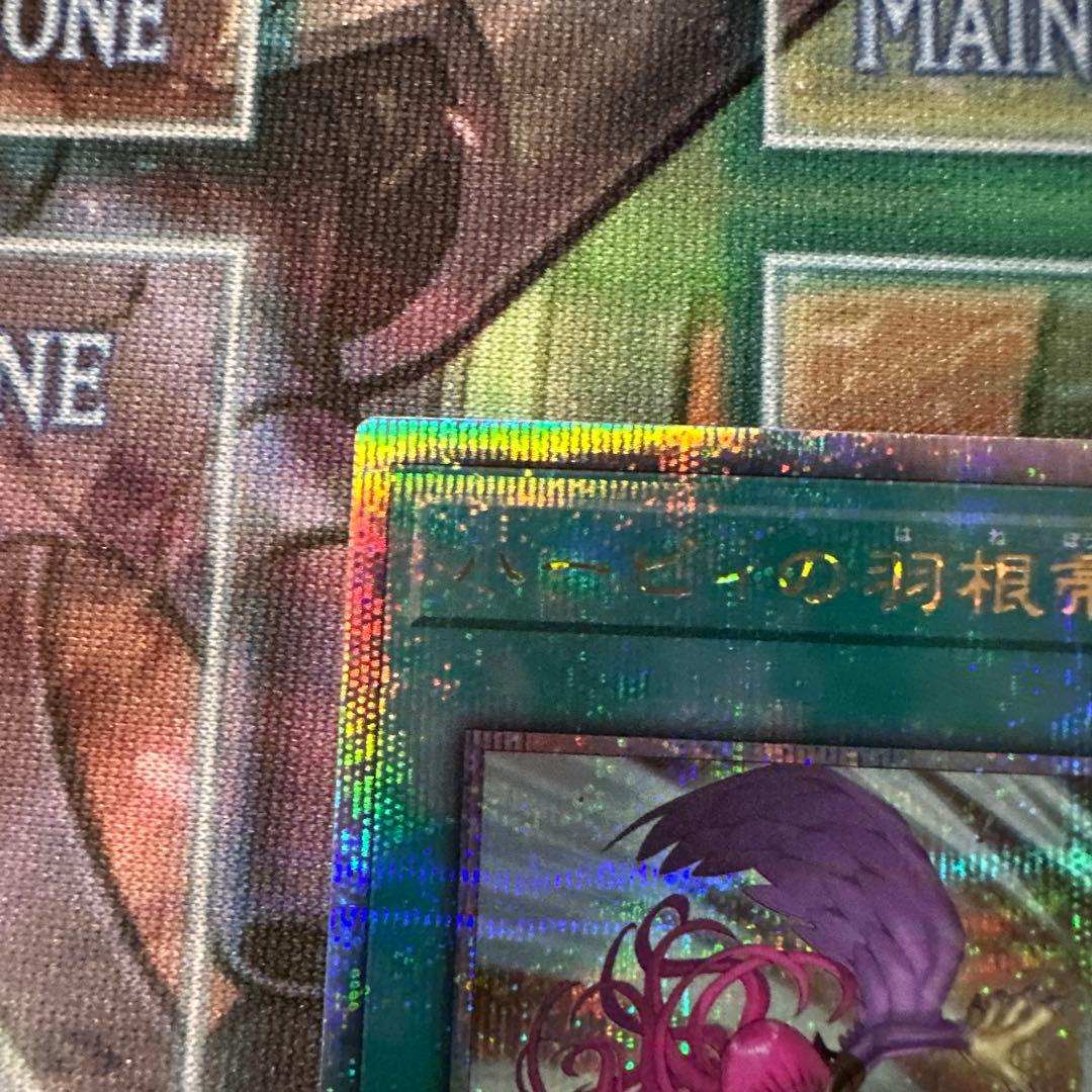 ハーピィの羽根帚　サンダーボルト　25thシク　絵違い