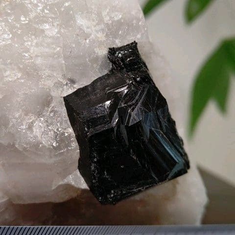 鉱物コレクション　鉄電気石（ショール）