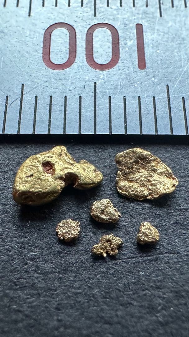 砂金　中粒　観賞・資料用