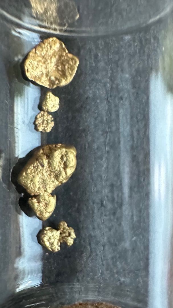 砂金　中粒　観賞・資料用