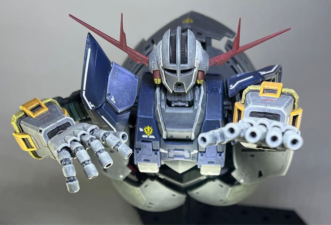 ガンプラRG完成品 MSN-02 ジオング