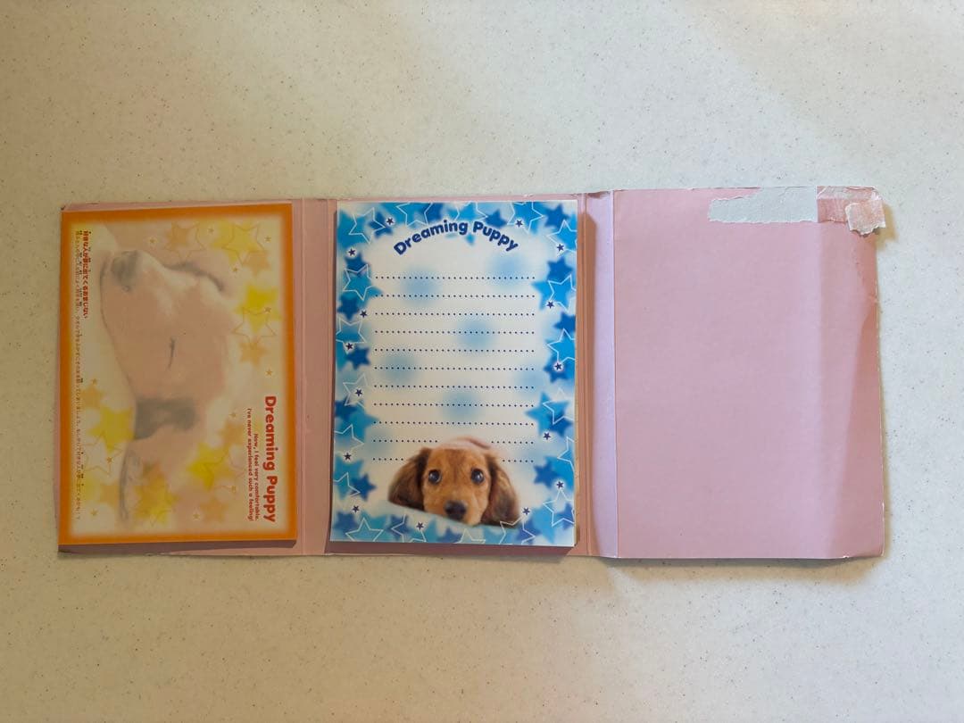 クラックス　平成　レトロ　パタパタメモ　メモ帳　犬　心理テスト　平成女児