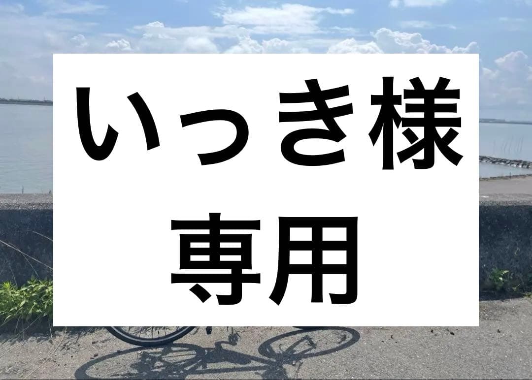名古屋周辺 手渡し希望 2022年製 サイズ460 GIOS MISTRAL