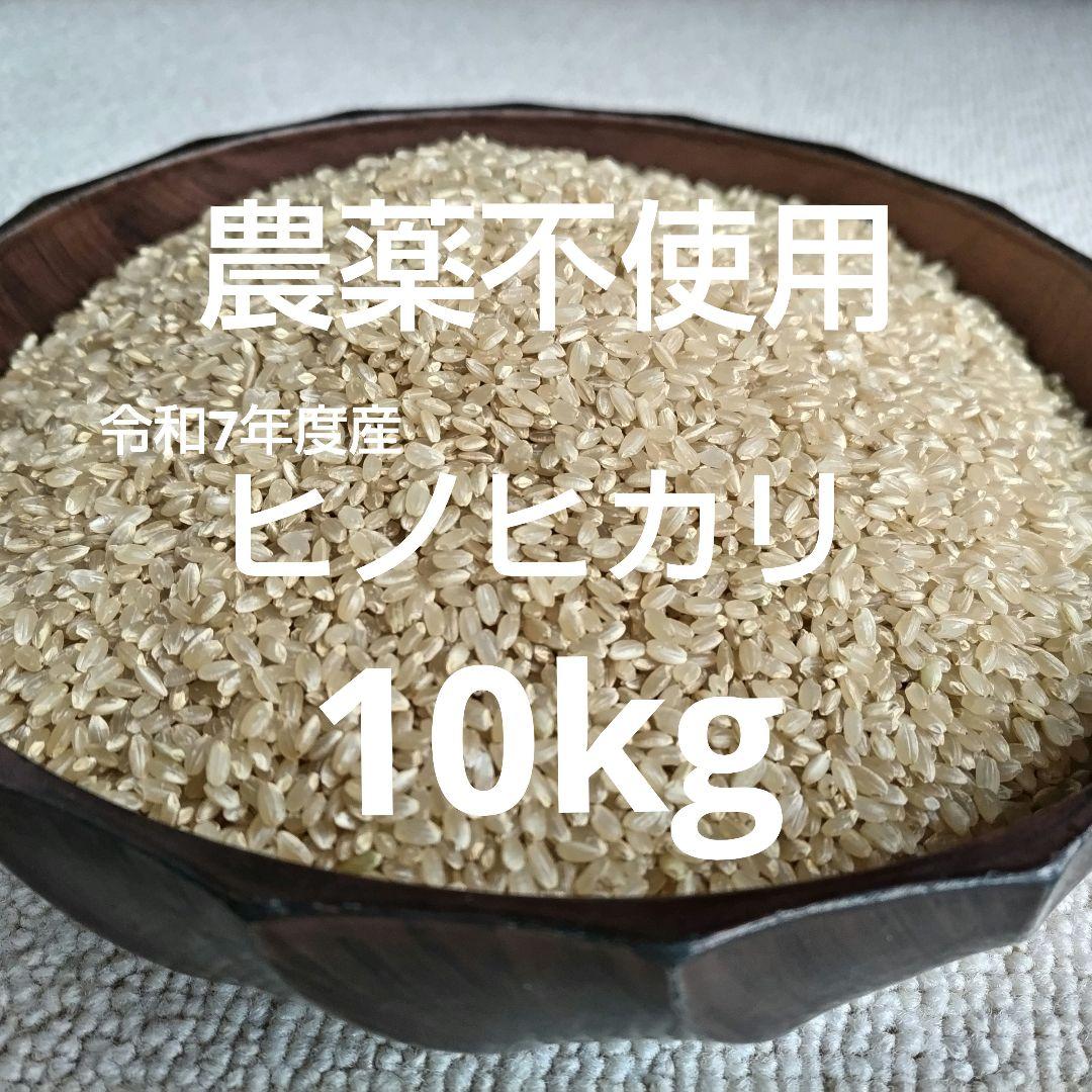 農薬不使用　ヒノヒカリ10kg　令和7年度産　色選別済み