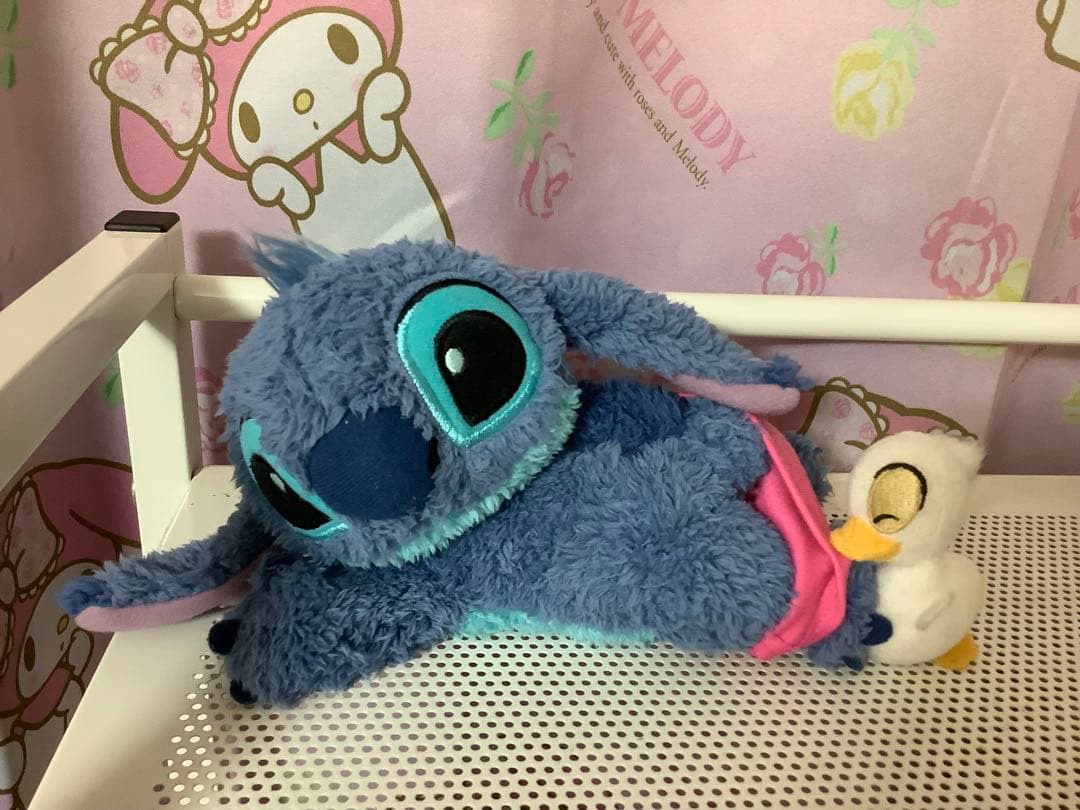 専用です。あひる付きスティッチ。