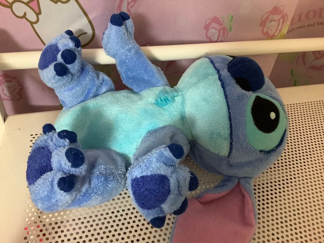 専用です。あひる付きスティッチ。