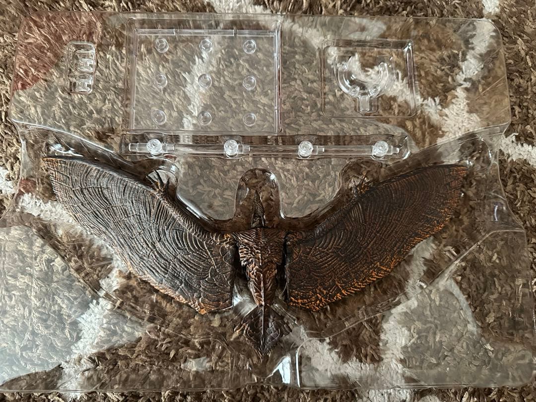 ハイヤトイズ　ラドン