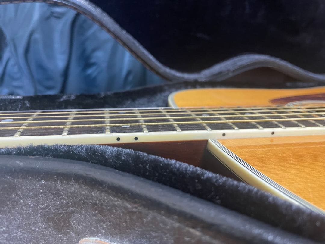 yu！！モーリスM-601アコースティックギターハカランダ材使用モデル