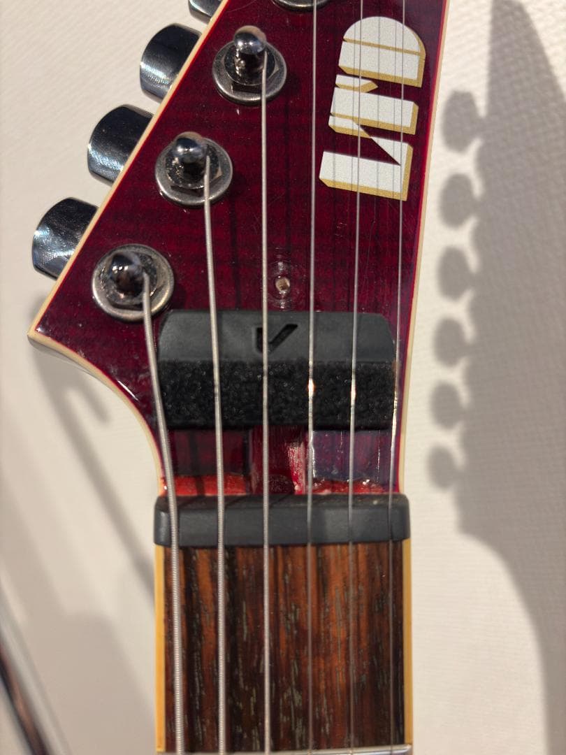 LTD by ESP GUS-600NT Gus Gモデル