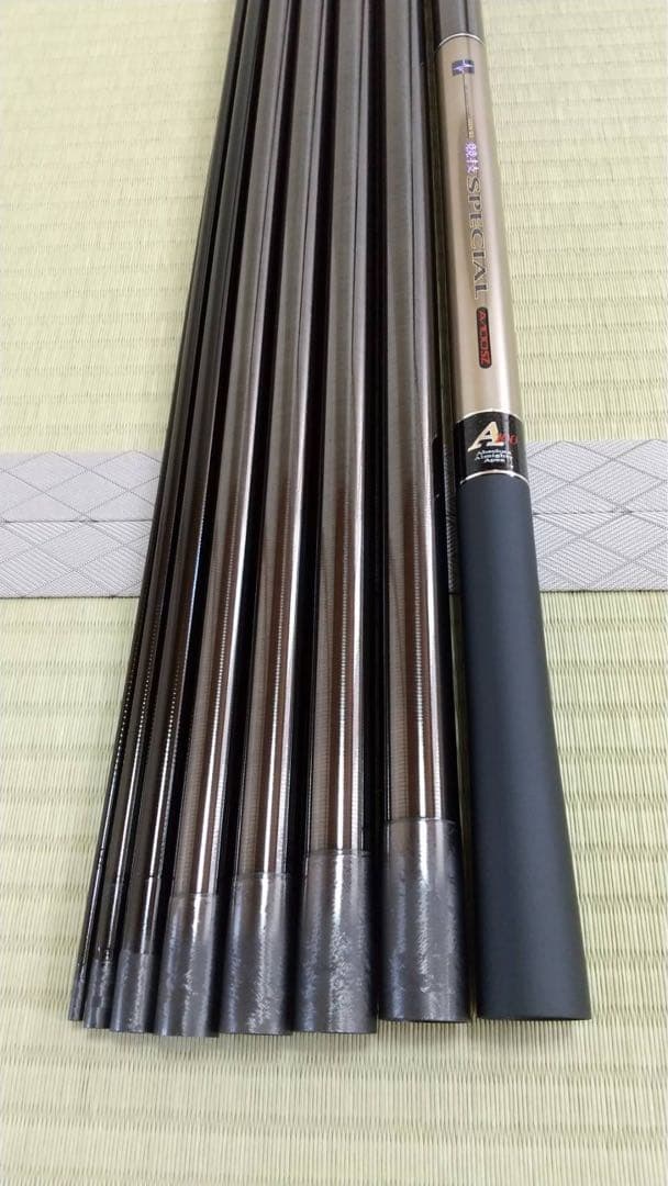 Daiwa SPECIAL銀影競技A100SZ