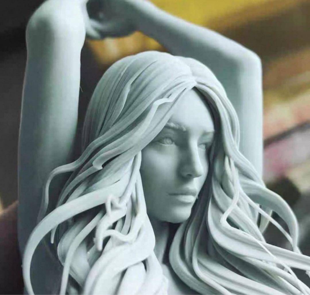 1/6 ガレージキット フィギュア 未塗装 ヴィーナス largeフィギュア