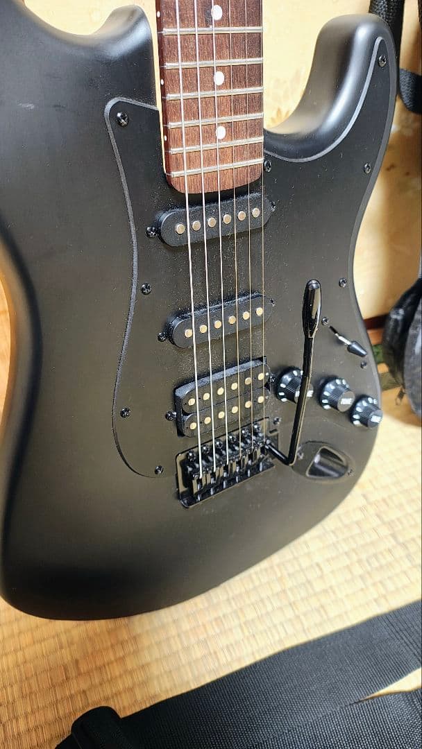 SELDER セルダー　ストラトキャスター　STC-04　全面ブラック仕様