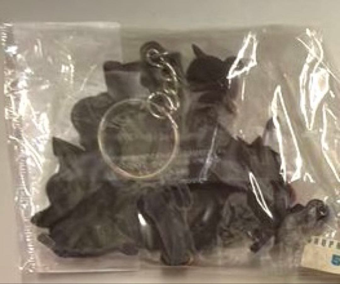 6022 ポケモラバーキーホルダー　カビゴン　ピカチュウ