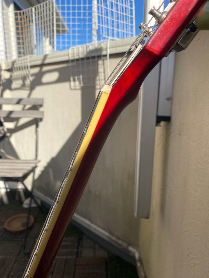 Grass Roots Limited Model (レスポールタイプ)