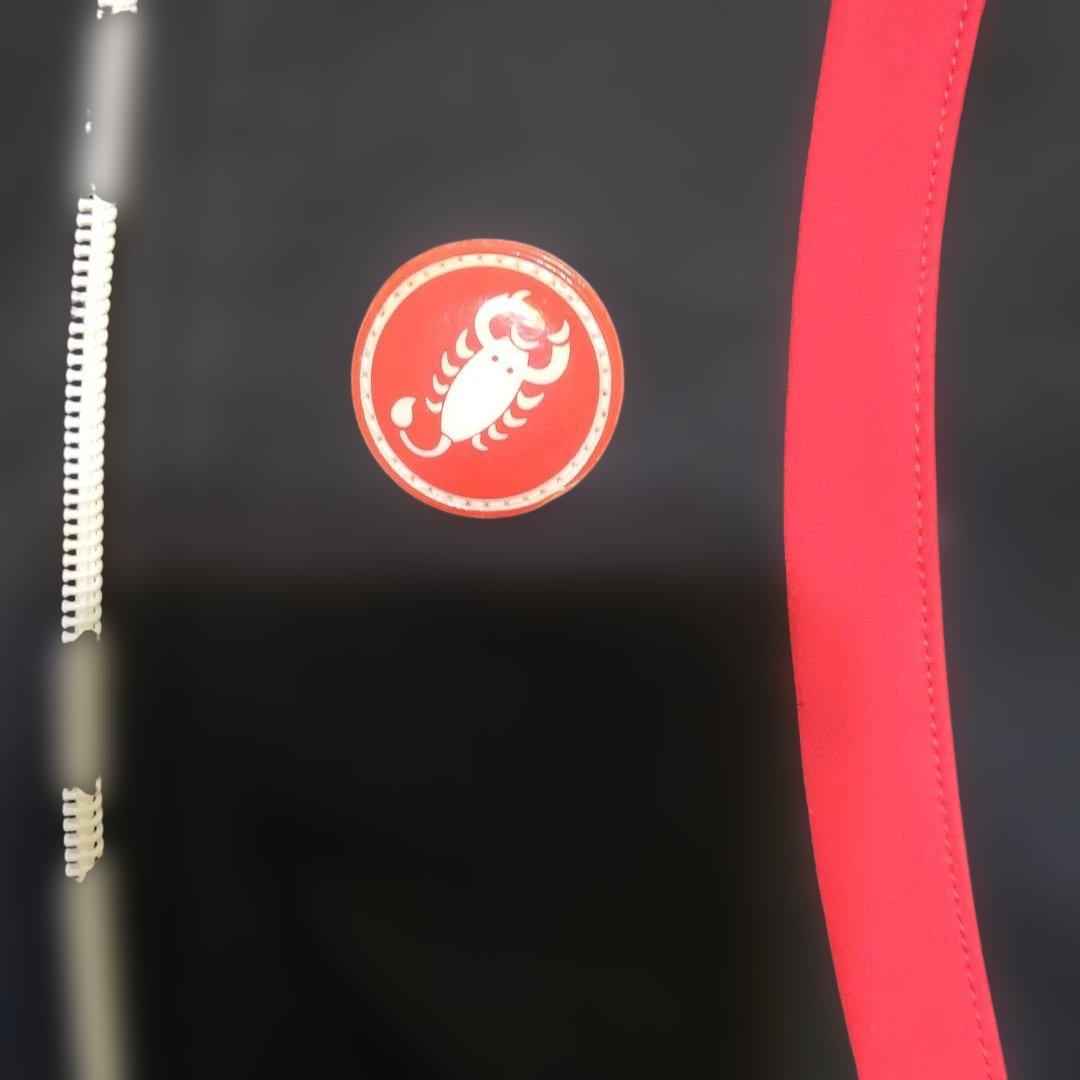 カステリ イタリアンカラーGORE WIND STOPPER 厚手裏起毛厳冬期用