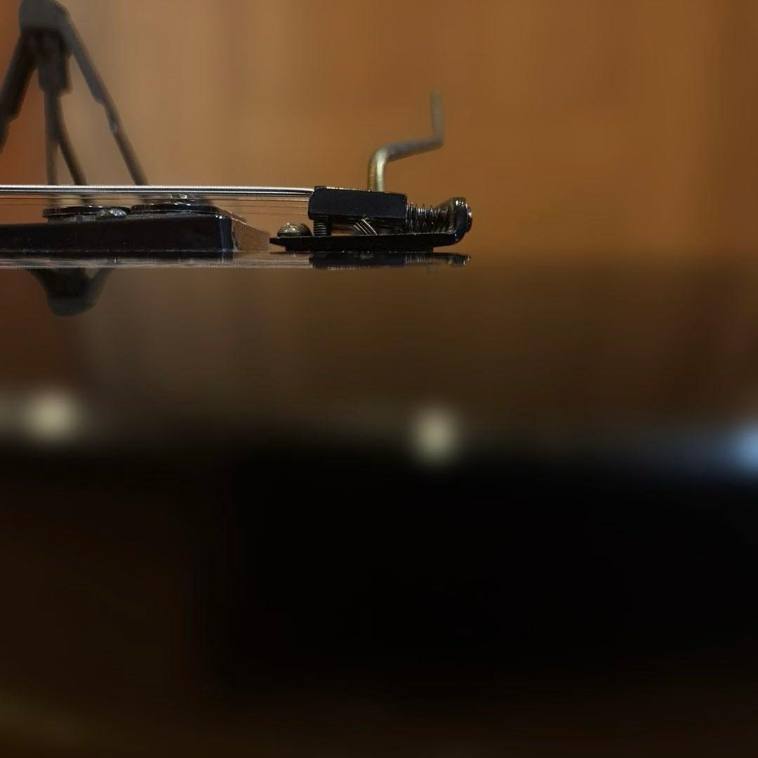 Aria Pro II CT-ST3 ブラックパーツ仕様 トレモロアーム付