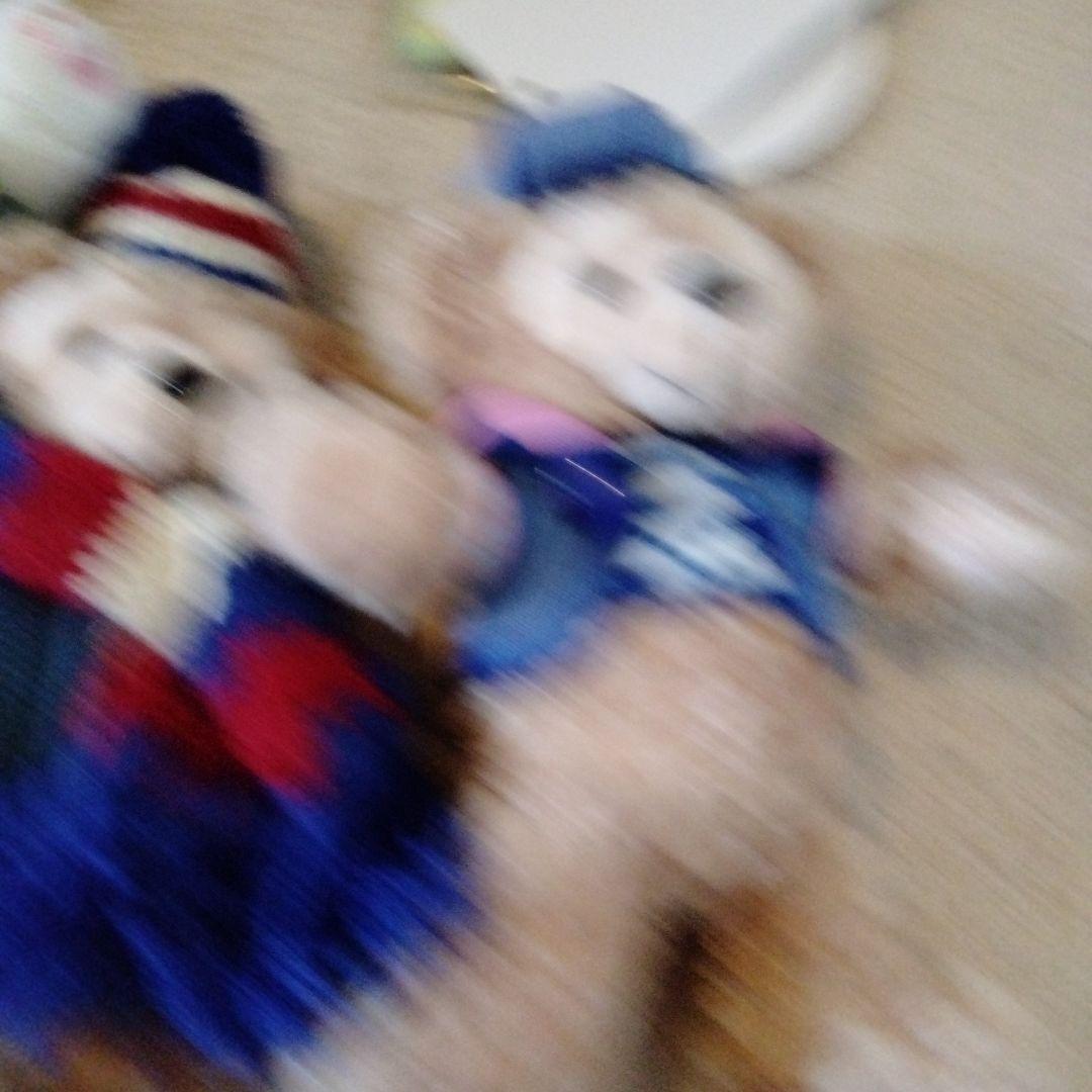 ダッフィー キーフォルダーぬいぐるみ