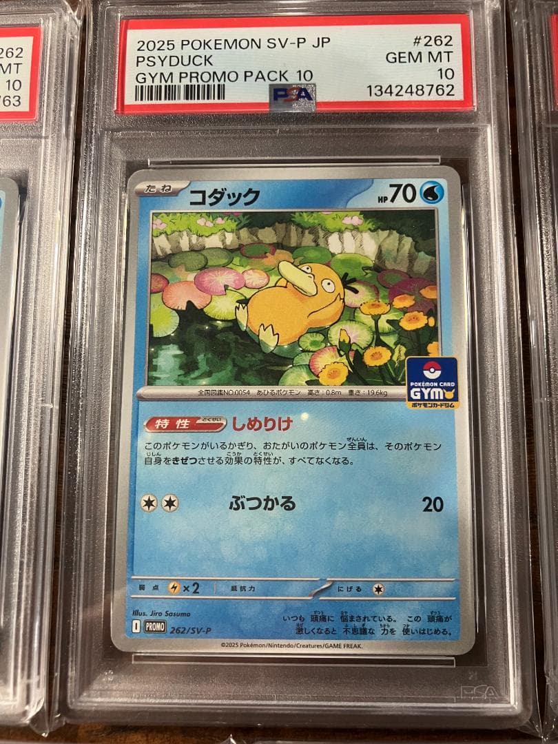 【PSA10】ポケモン5連番　コダック ジムプロモ しめりけ 262/SV-P